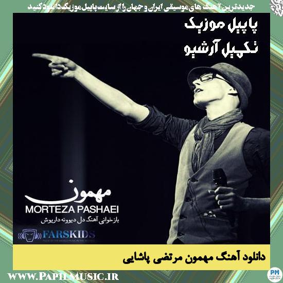 دانلود آهنگ مهمون از مرتضی پاشایی